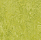 Marmoleum Marbled Decibel Real 322435 Chartreuse - 3.5